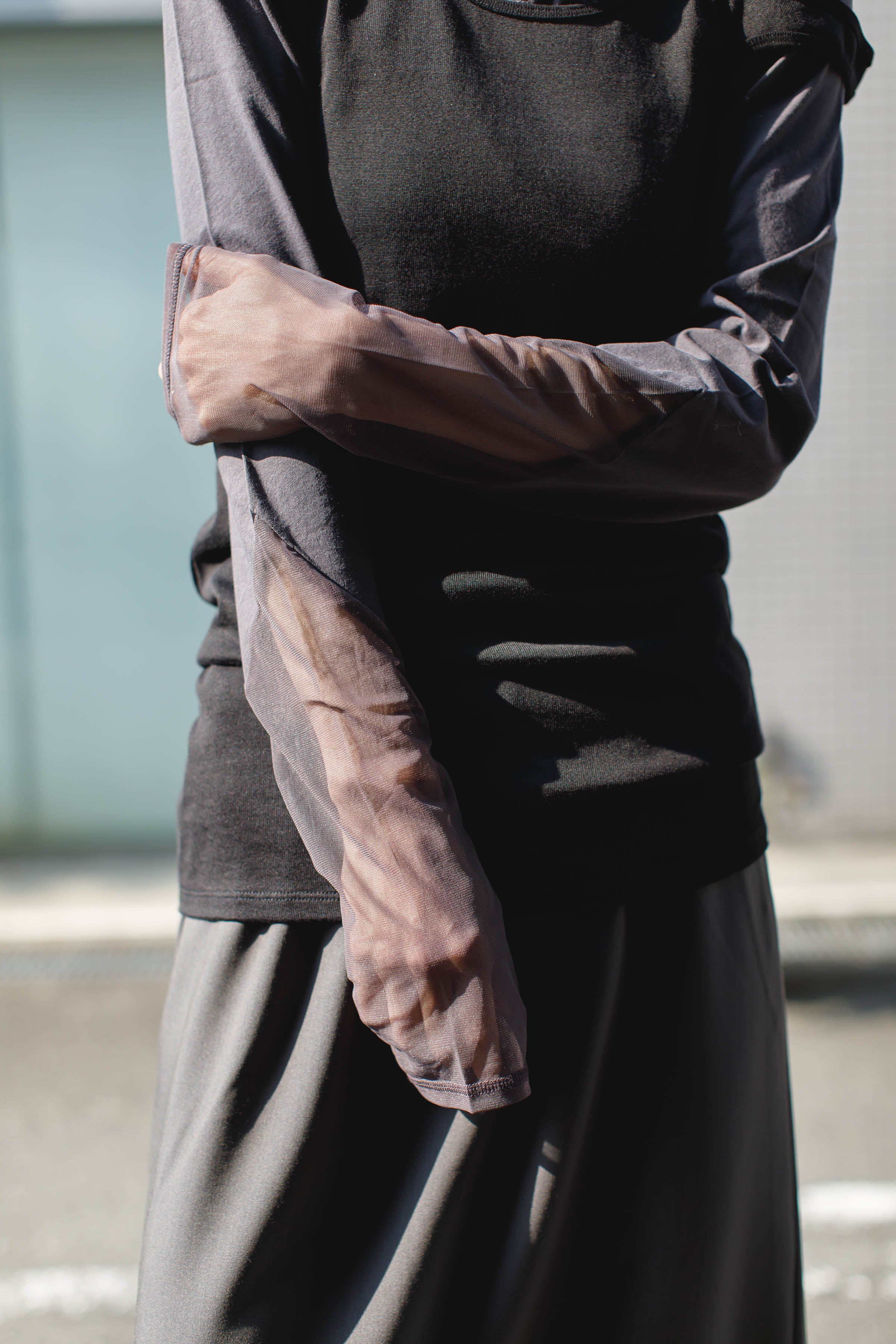 Sheer Sleeve Tight Tops