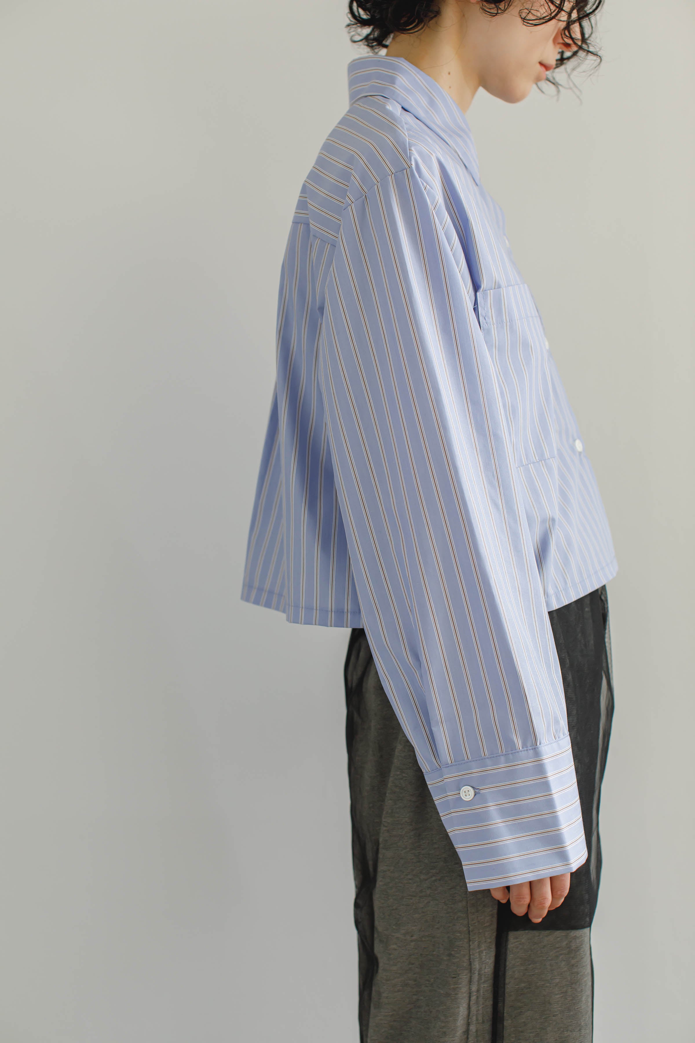 Cropped Stripe Shirts